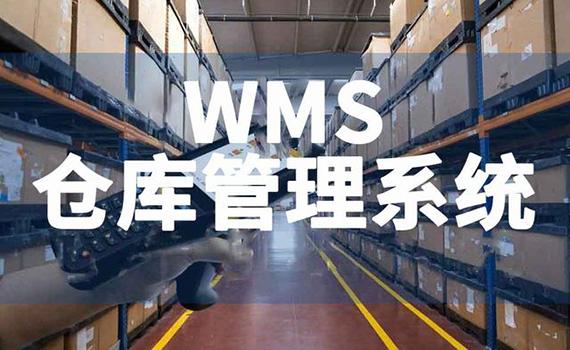 高效仓库运营的秘密武器：WMS系统数据分析与可视化